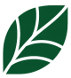 Icon1 Icon1